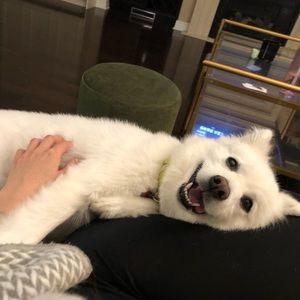 Meet your Posher, Lin